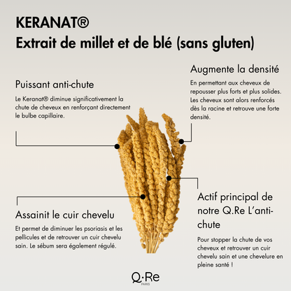 Gélules anti-chute Q.RE